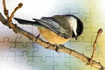 natural jigsaw puzzle