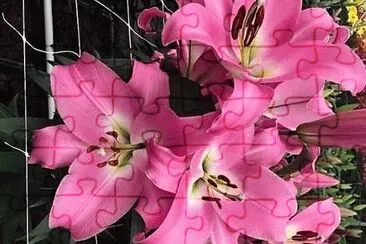 flores jigsaw puzzle