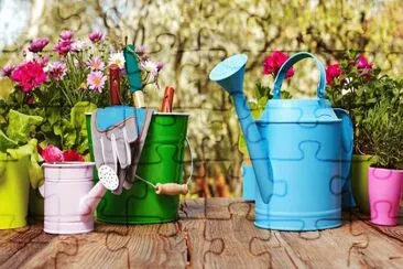 Colorful Garden Pots and Watering Cans