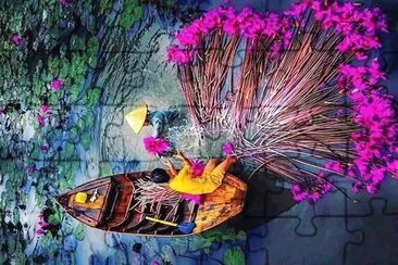 flores
