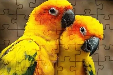 natural jigsaw puzzle
