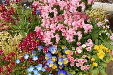 פאזל של Vibrant Patio Flower Garden
