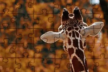 Foto jigsaw puzzle