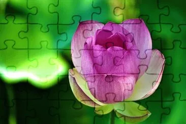 Imagem jigsaw puzzle