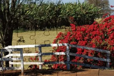 rural 4 jigsaw puzzle