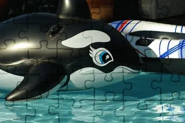 orca jigsaw puzzle