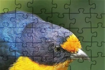 natural jigsaw puzzle