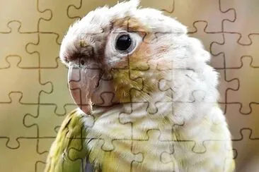 natural jigsaw puzzle