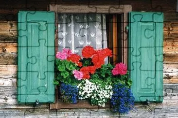 flores