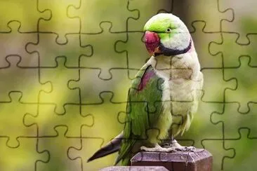 natural jigsaw puzzle