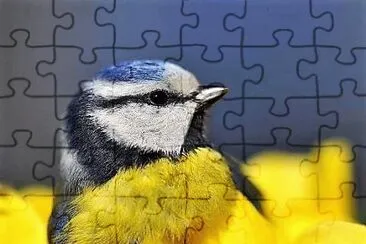 natural jigsaw puzzle