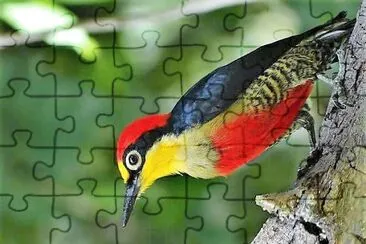 natural jigsaw puzzle