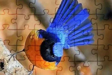 natural jigsaw puzzle