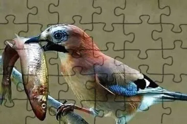 natural jigsaw puzzle