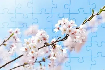 Imagem jigsaw puzzle