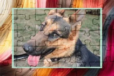 JSPuzzles-åœ–ç‰‡å»Š (çµ„åˆ) jigsaw puzzle