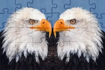 JSPuzzles-åœ–ç‰‡å»Š (å°ç¨±) jigsaw puzzle
