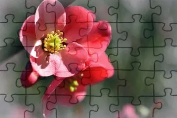 OK jigsaw puzzle