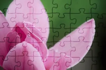 Imagem jigsaw puzzle