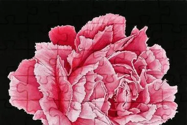 פאזל של flores