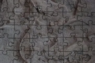  jigsaw puzzle