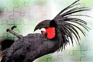natural jigsaw puzzle