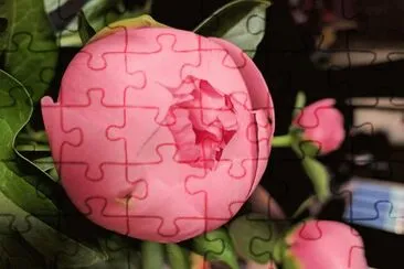 flores jigsaw puzzle