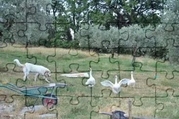 campagna jigsaw puzzle