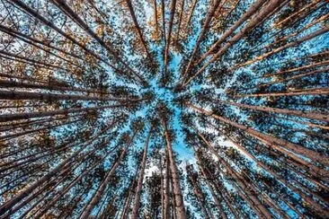 Imagem jigsaw puzzle