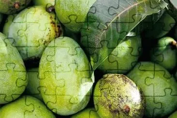 Imagem jigsaw puzzle