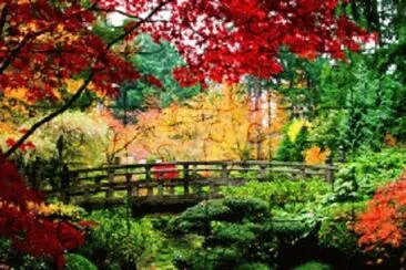 Nature jigsaw puzzle