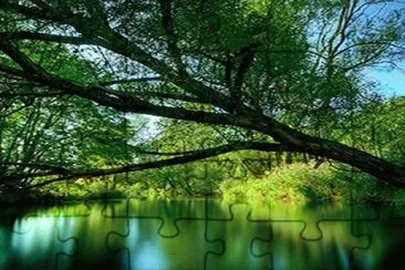 Nature jigsaw puzzle