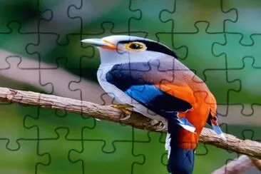 â™¥ jigsaw puzzle