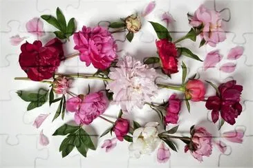 פאזל של flores
