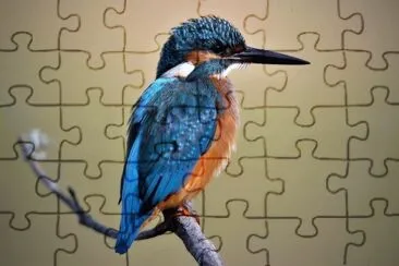 natural jigsaw puzzle