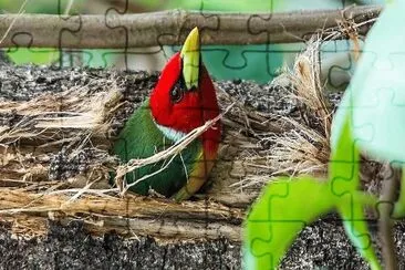 natural jigsaw puzzle