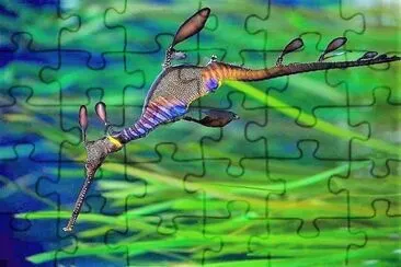 פאזל של natural