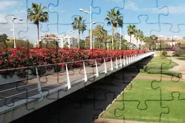 puente de las flores-valencia