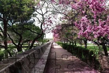 פאזל של paseo cauce del turia