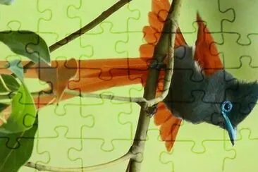 natural jigsaw puzzle