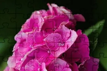 flores jigsaw puzzle