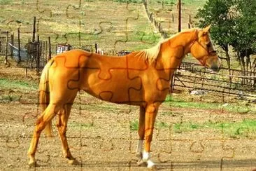 Tchenaran jigsaw puzzle