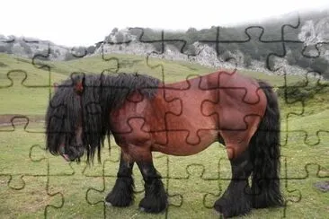 Basque jigsaw puzzle