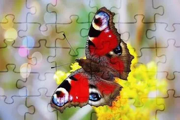 natural jigsaw puzzle