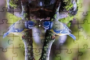 natural jigsaw puzzle