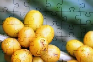 cafe jigsaw puzzle