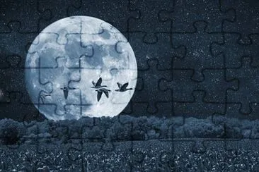 Imagem jigsaw puzzle