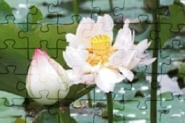 Imagem jigsaw puzzle