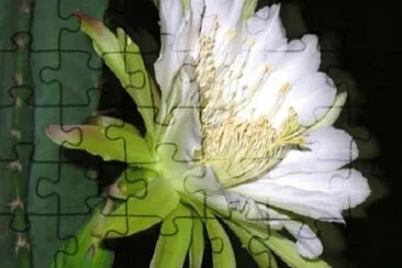OK jigsaw puzzle