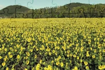 Imagem jigsaw puzzle